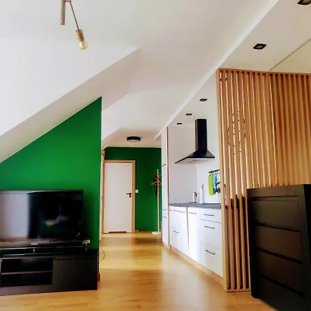 Z Widokiem Na Jezioro Apartment Zlotow (Greater Poland)
