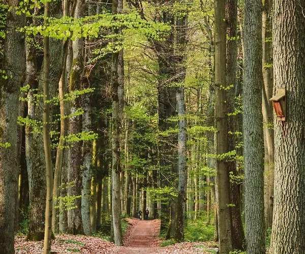 Z Widokiem Na Jezioro *